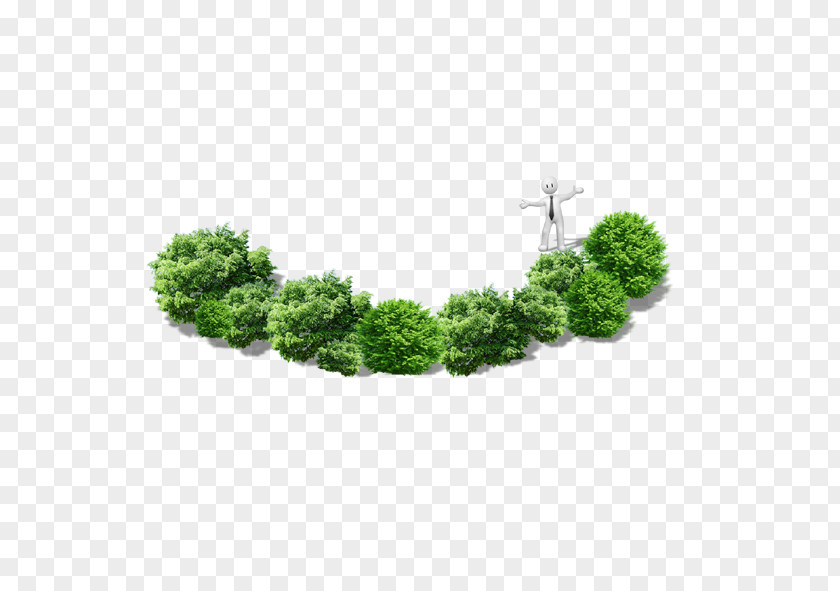 Tree PNG