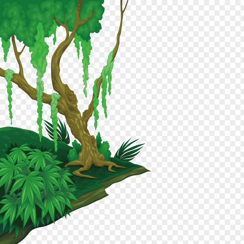 Vector Green Forest PNG