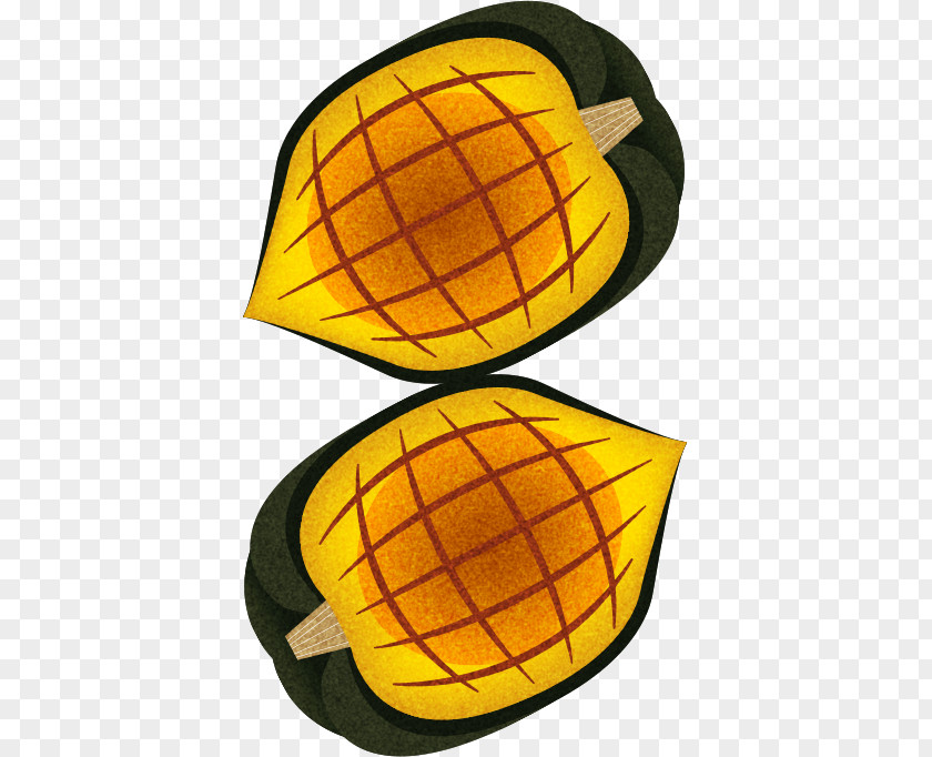 Acorn Squash Hat PNG