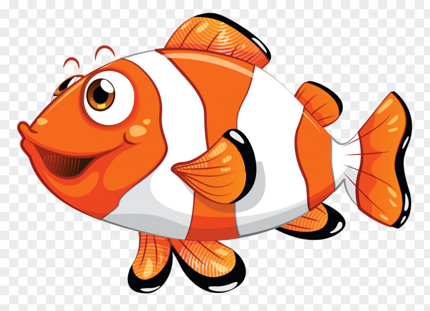 Bonyfish Tail Anemone Fish Clownfish Pomacentridae Cartoon PNG