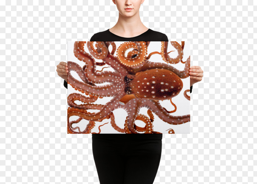Giuseppe Jatta Octopus Neck Blanket Mouse Mats PNG