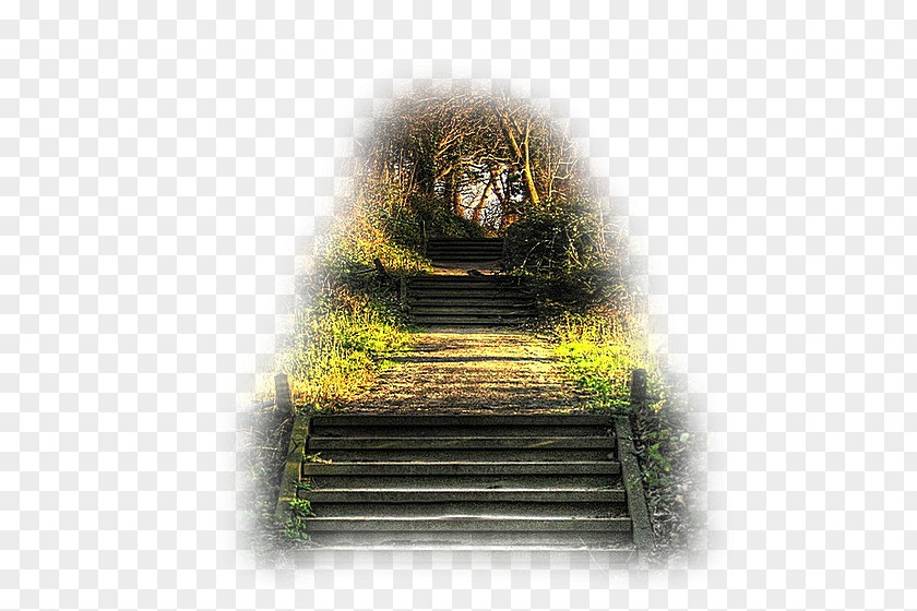 Painting Wall Stairs PNG
