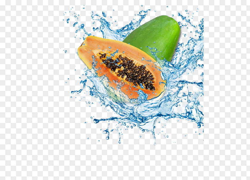 Papaya Water Icon PNG