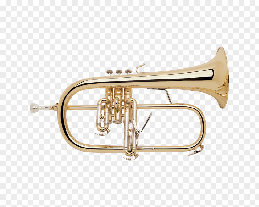 Trumpet Cornet Flugelhorn Vincent Bach Corporation Brass Instruments PNG