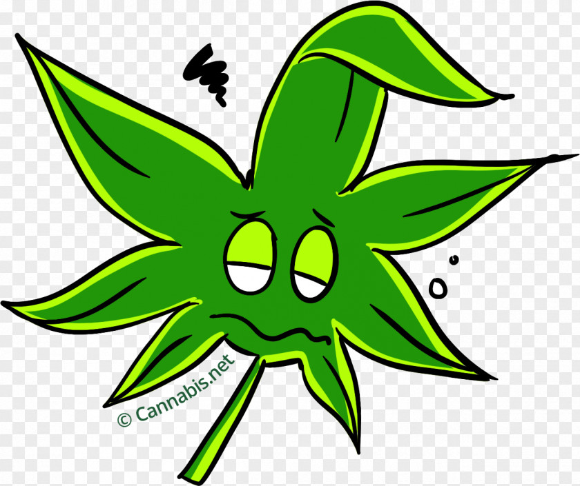 Cannabis Sour Diesel Marijuana Headache Clip Art PNG