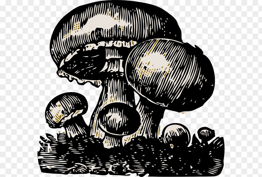 Mushroom Cloud Food Clip Art PNG