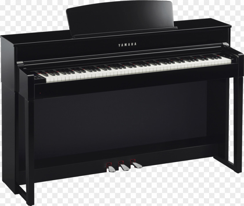 Piano Digital Stage Musical Instruments Roland Corporation PNG