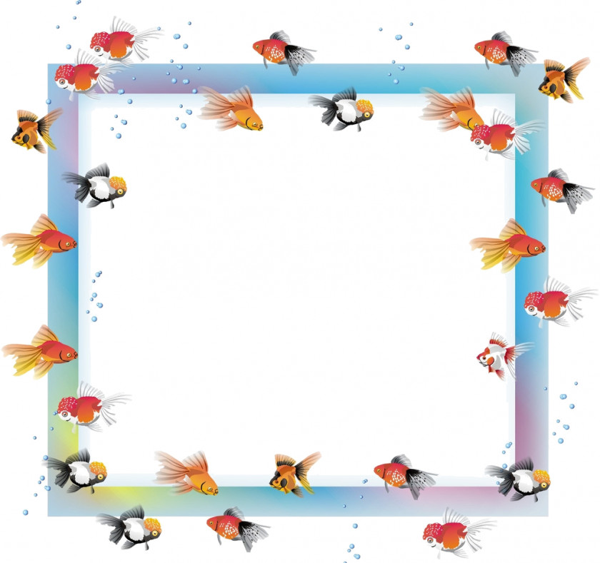 Fish Picture Frames Molding Gilding PNG
