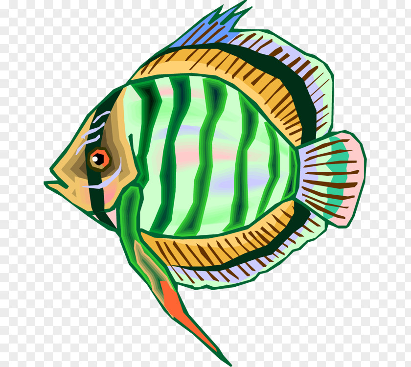Fish Pomfret Pampus Argenteus Clip Art PNG