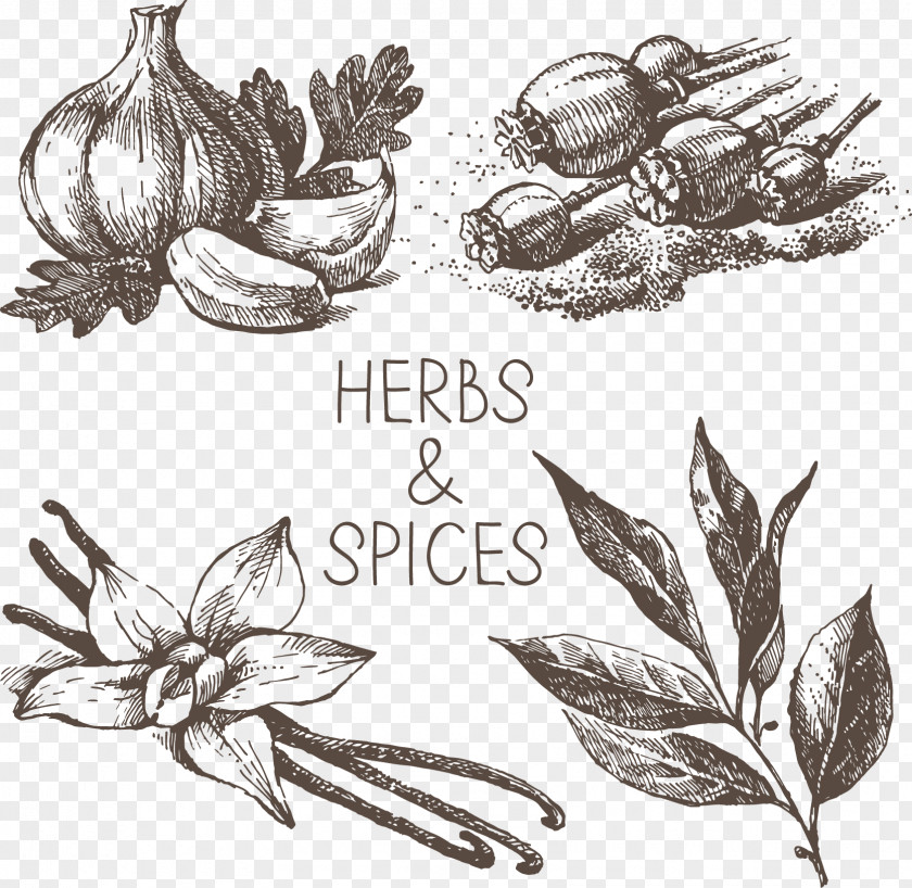 Floating Herbs Spices Drawing Royalty-free Clip Art PNG