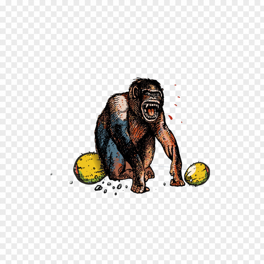 Hand-painted Gorilla Monkey Orangutan Common Chimpanzee Cartoon PNG