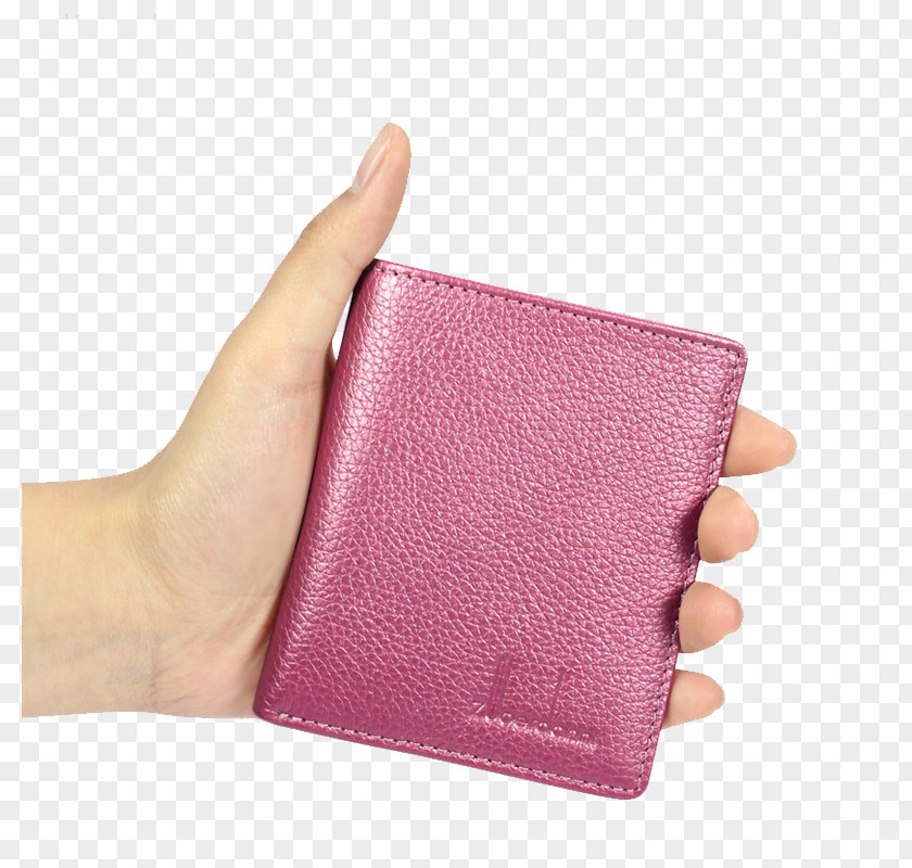 Holding Purse Wallet Handbag Coin Backpack PNG