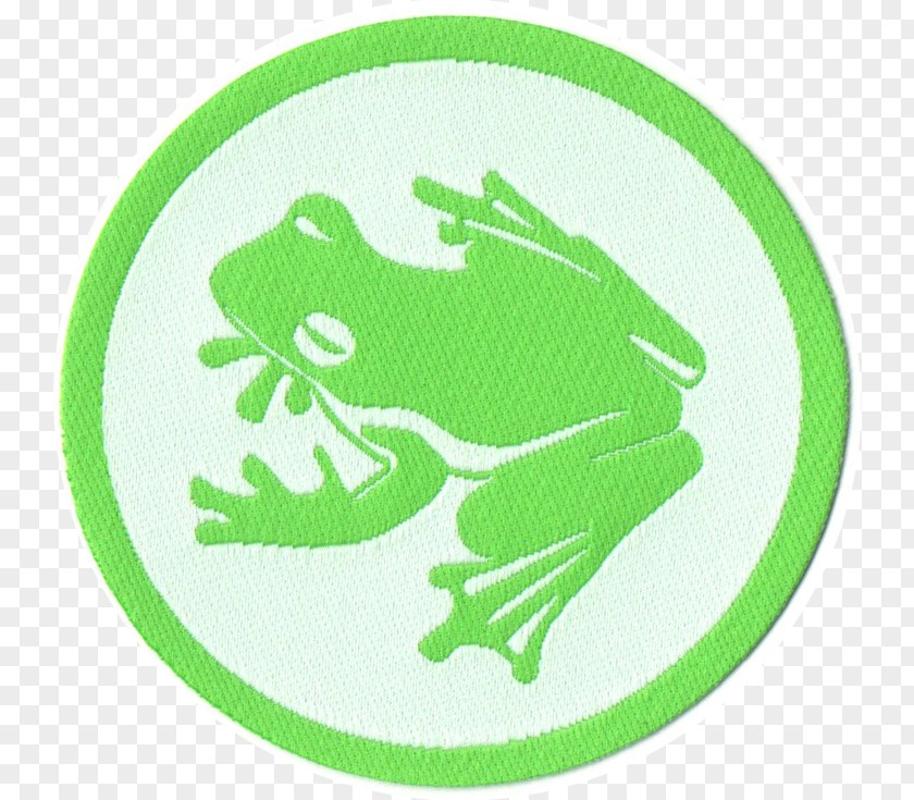 Irlandia Tree Frog Przewóz Freight Forwarding Agency ArtikelA4 Polska PNG