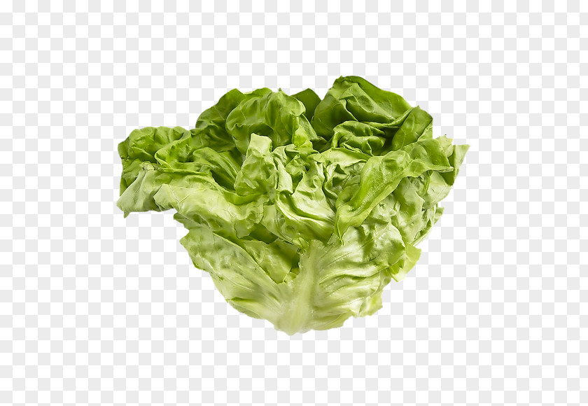 Kale Romaine Lettuce Cabbages Glucosinolate Spring Greens PNG