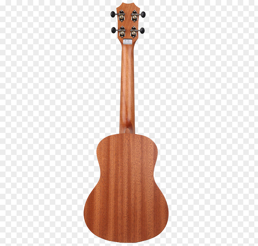 Musical Instruments Resonator Guitar Neck Fingerboard String PNG