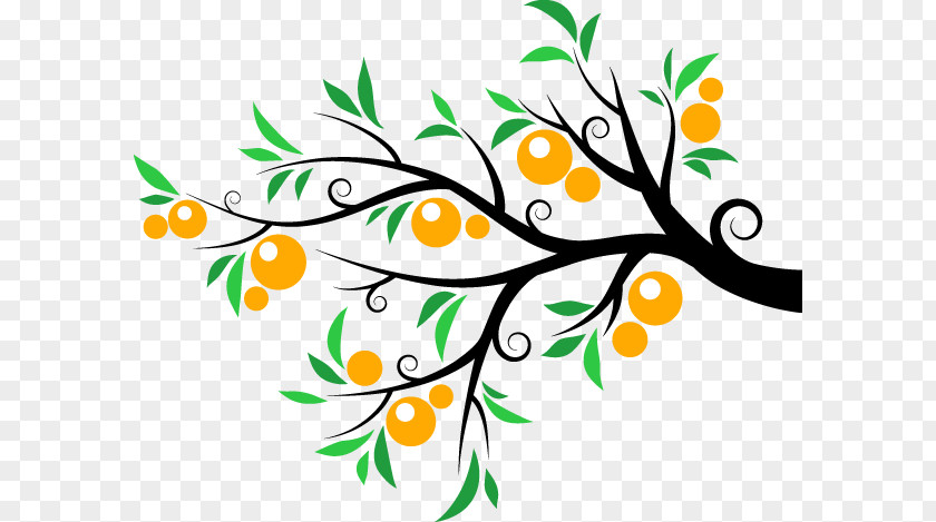 Orange Fruit Tree PNG