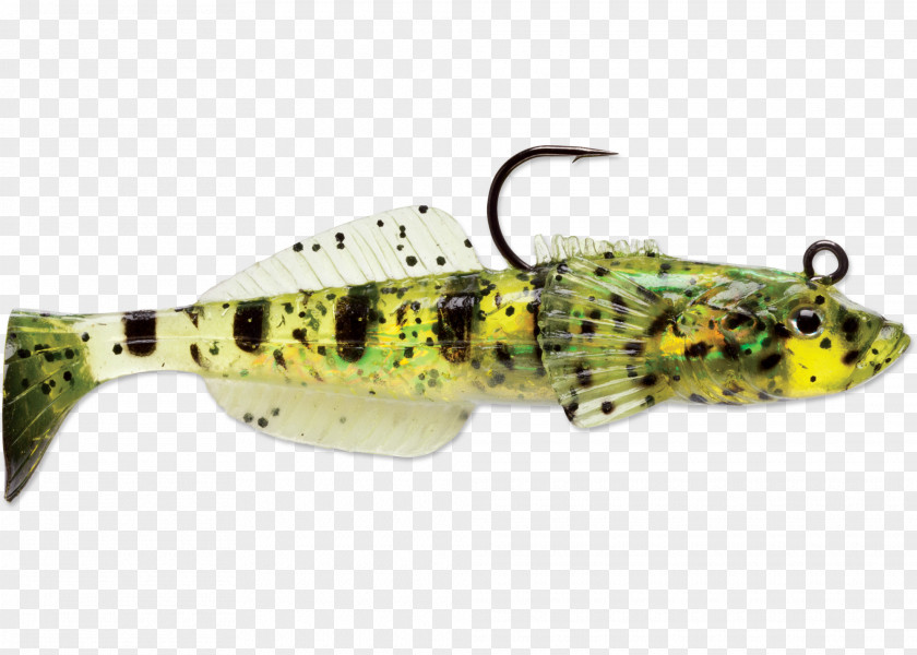 Spoon Lure Perch Reptile Rapala Sculpins PNG
