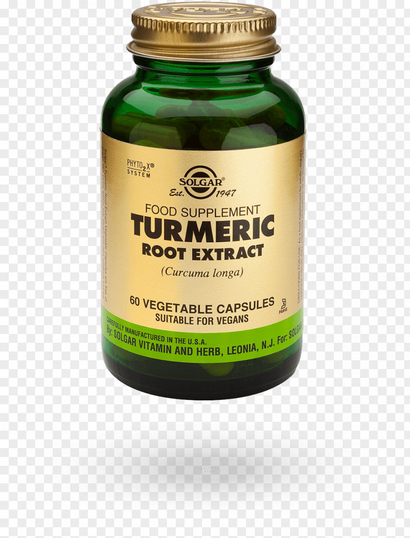 Turmeric Dietary Supplement Naturopathy Bilberry PNG