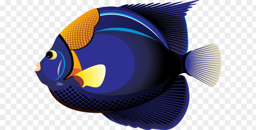 Hawaiian Fish Cliparts Tropical Carassius Auratus Free Content Clip Art PNG