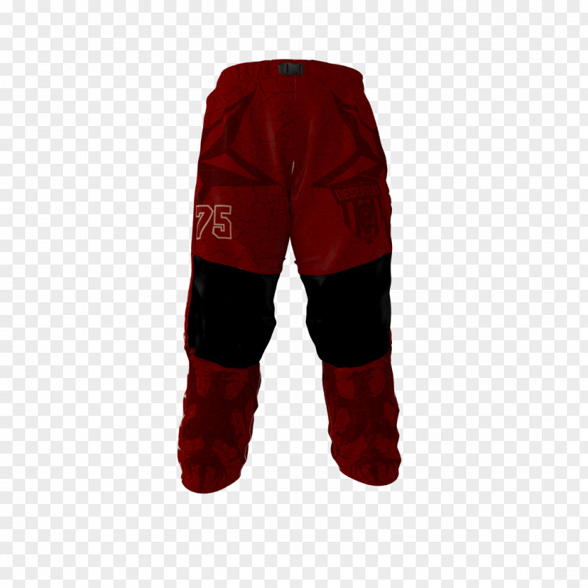Hockey Protective Pants & Ski Shorts PNG