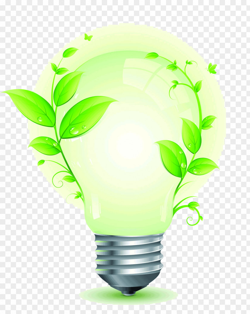Save Electricity Energy Conservation Incandescent Light Bulb Power PNG