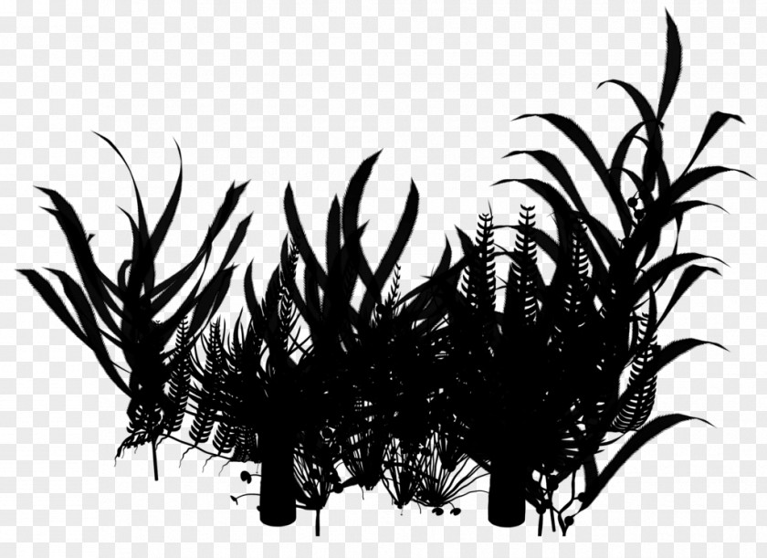Silhouette Arecales Grasses Branching PNG
