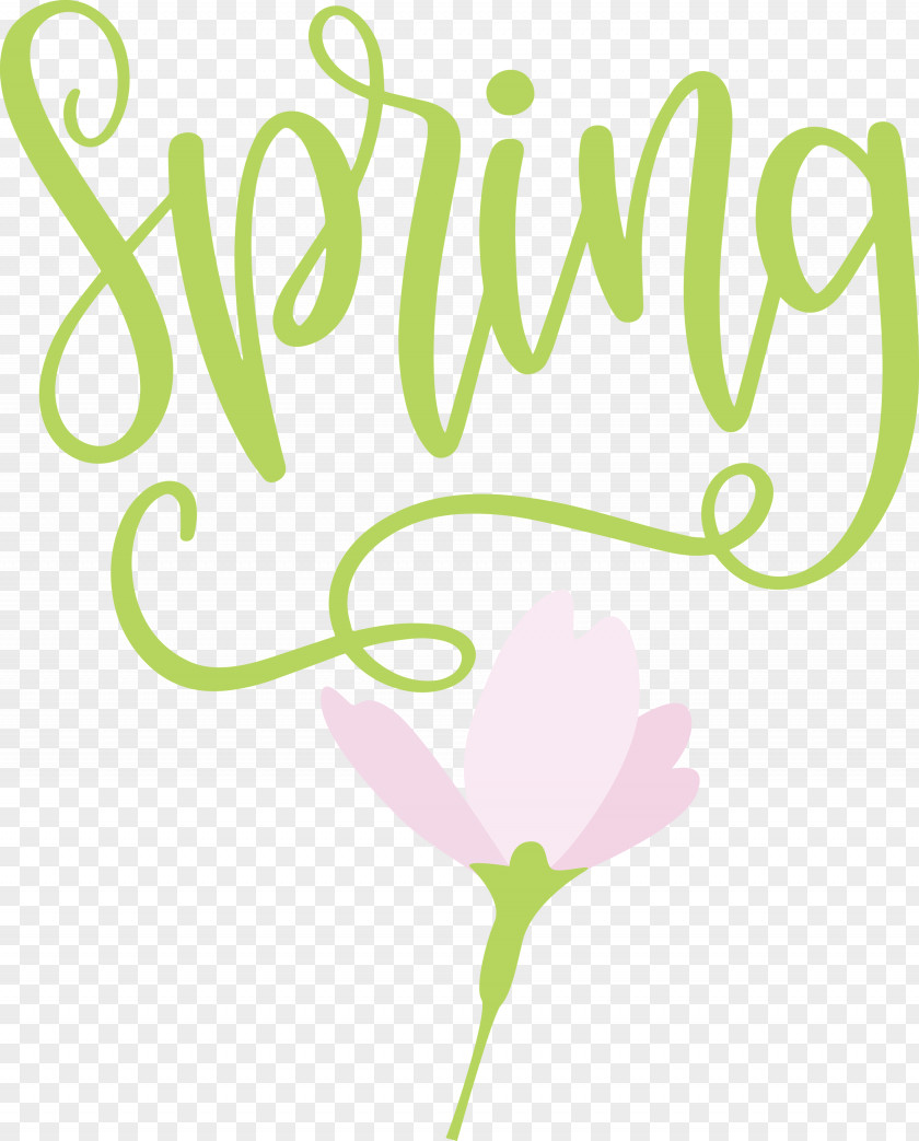 Spring PNG