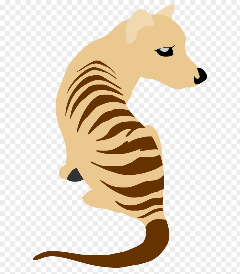 Tiger Whiskers Lion Cat Canidae PNG
