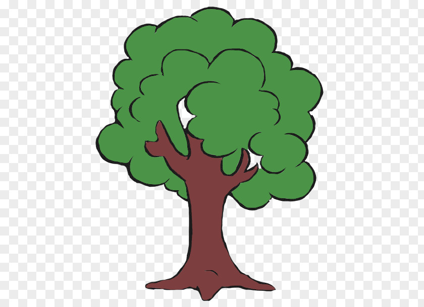 Tree Catechesis Icon PNG