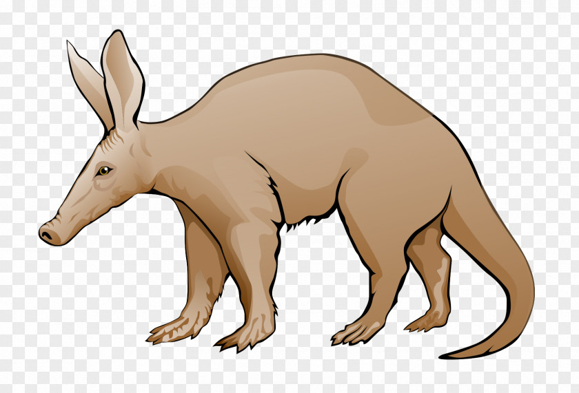 Aardvark Cliparts Website Clip Art PNG