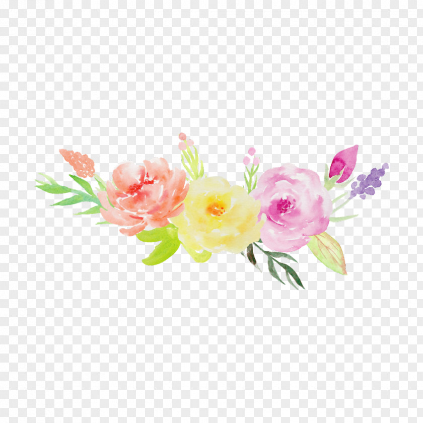 Design Watercolor Painting Garden Roses Drawing Image PNG