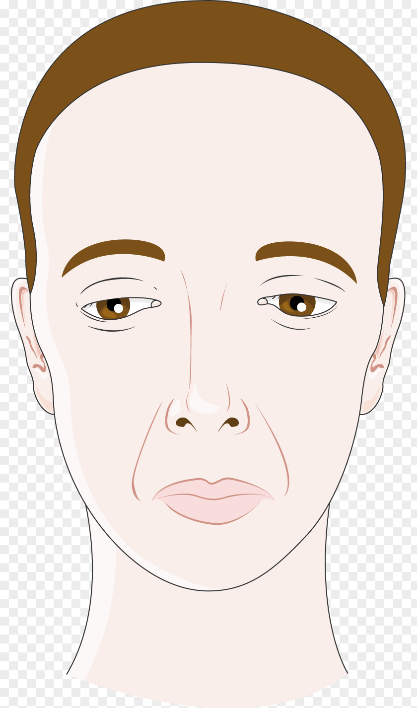 Facial Expressions Eye Cheek Chin Lip Forehead PNG