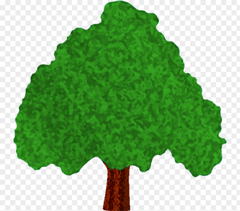 Green Tree Woody Plant Conifers Rose PNG