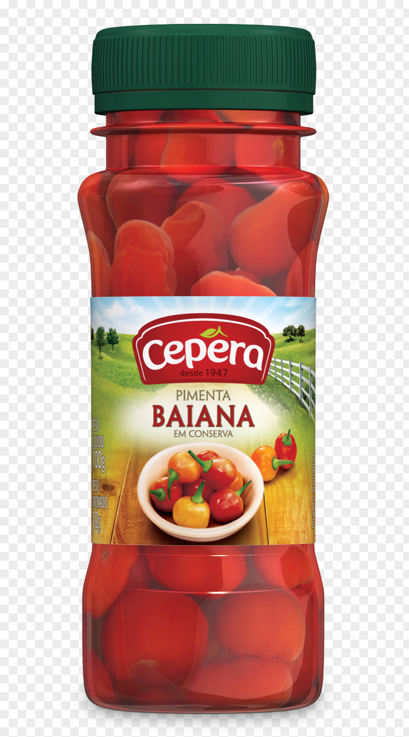 Pepper Vegetarian Cuisine Malagueta Aframomum Melegueta Food PNG