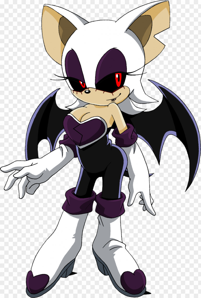 Rouge The Bat Shadow Hedgehog Knuckles Echidna Ariciul Sonic PNG