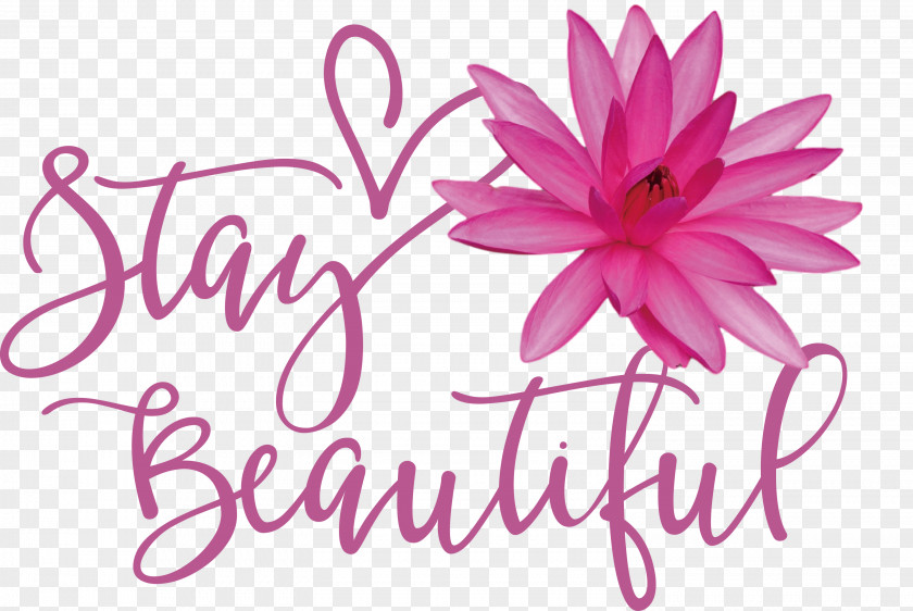 Stay Beautiful Fashion PNG