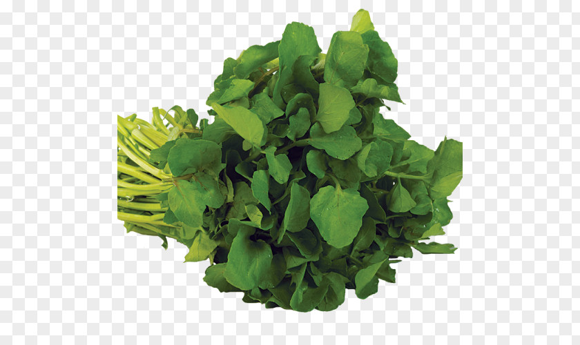 Vegetable Food Watercress Herb Vegetarian Cuisine PNG