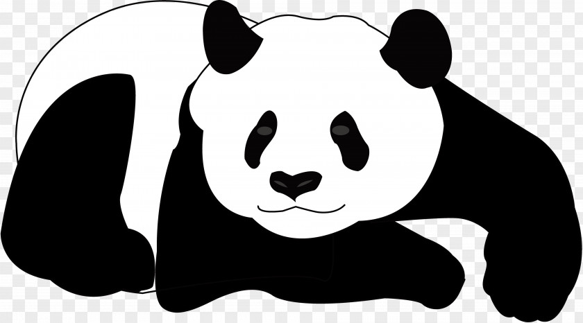 Black-and-white Giant Panda Bear Koala Clip Art PNG