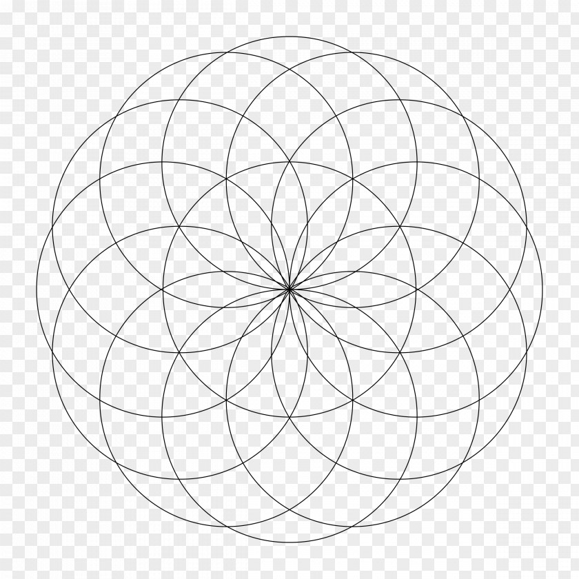 Circle Drawing Monochrome /m/02csf PNG