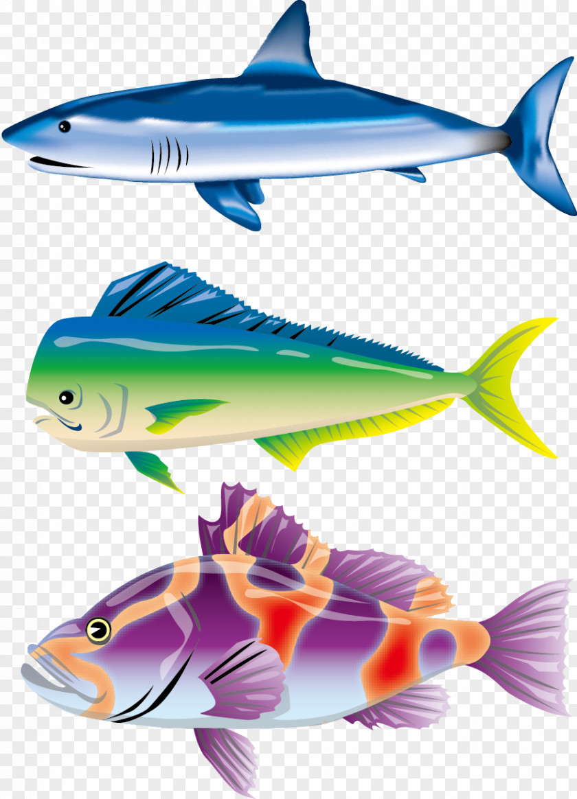 Colorful Fish Vector Material Blue Shark Illustration PNG