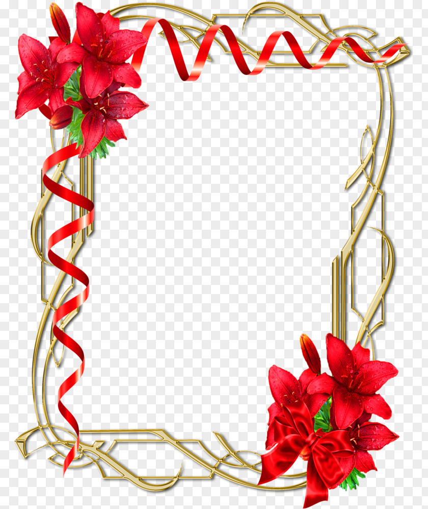 Flower Picture Frames Floral Design Photography PNG