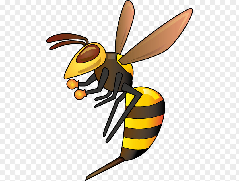 Insect True Wasps Bee Pest PNG