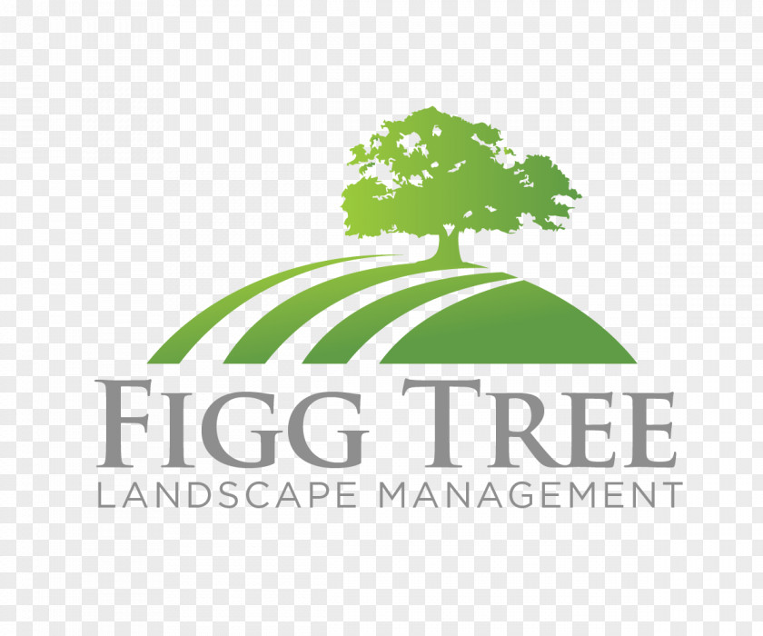 Lawn Business Logo Design Ideas Font Brand Product Tree PNG