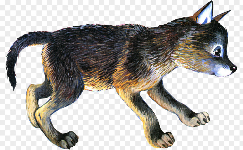 Lobo Gray Wolf PhotoScape Red Fox PNG