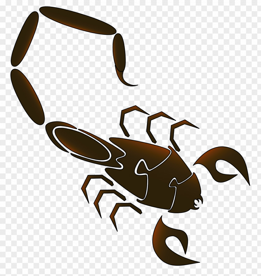 Theology Clip Art Insect Symbol Decapods Earth PNG