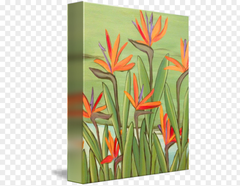 Birds Of Paradise Flower Flowering Plant Acrylic Paint Still Life Resin PNG
