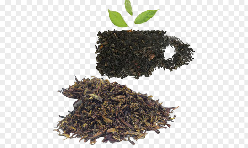 Fresh Tea Nilgiri Green Keemun Oolong PNG