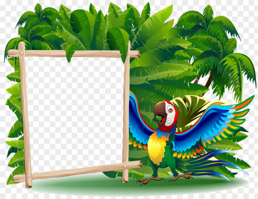 Parrot Vector Graphics Clip Art Desktop Wallpaper Cartoon PNG