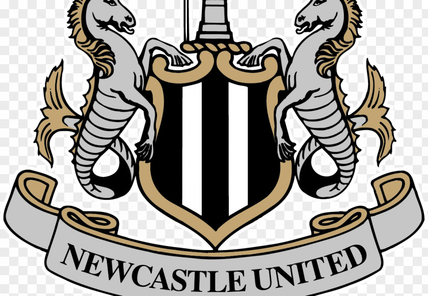 Premier League Newcastle United F.C. St James' Park English Football EFL Championship PNG