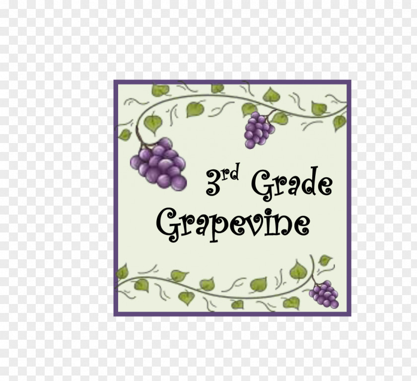 Third Grade The Writing Workshop Grape School Student PNG